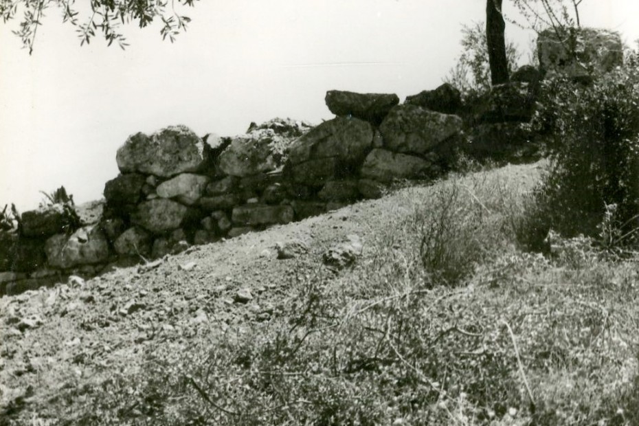 Ιερό Απόλλωνος: Χώρος